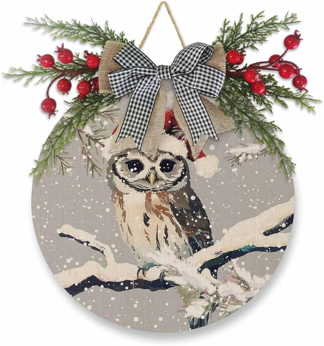 Welcome Sign Christmas Wreath Owl Wood Door Decor