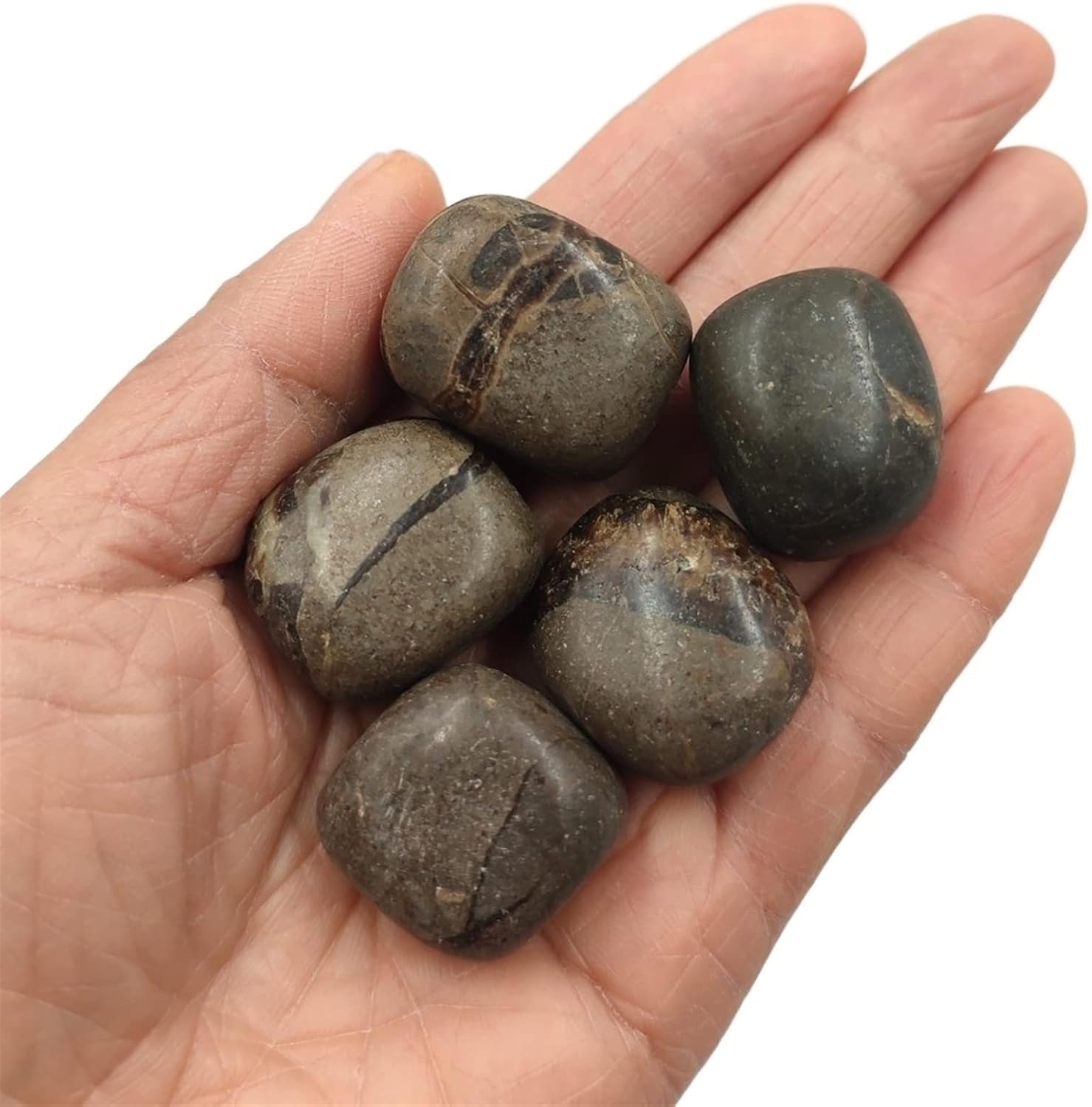 AMHIL Natural Dragon Septarian Tumbled Stones Crystal Polished Gemstone Specimen Home Decoration Gift