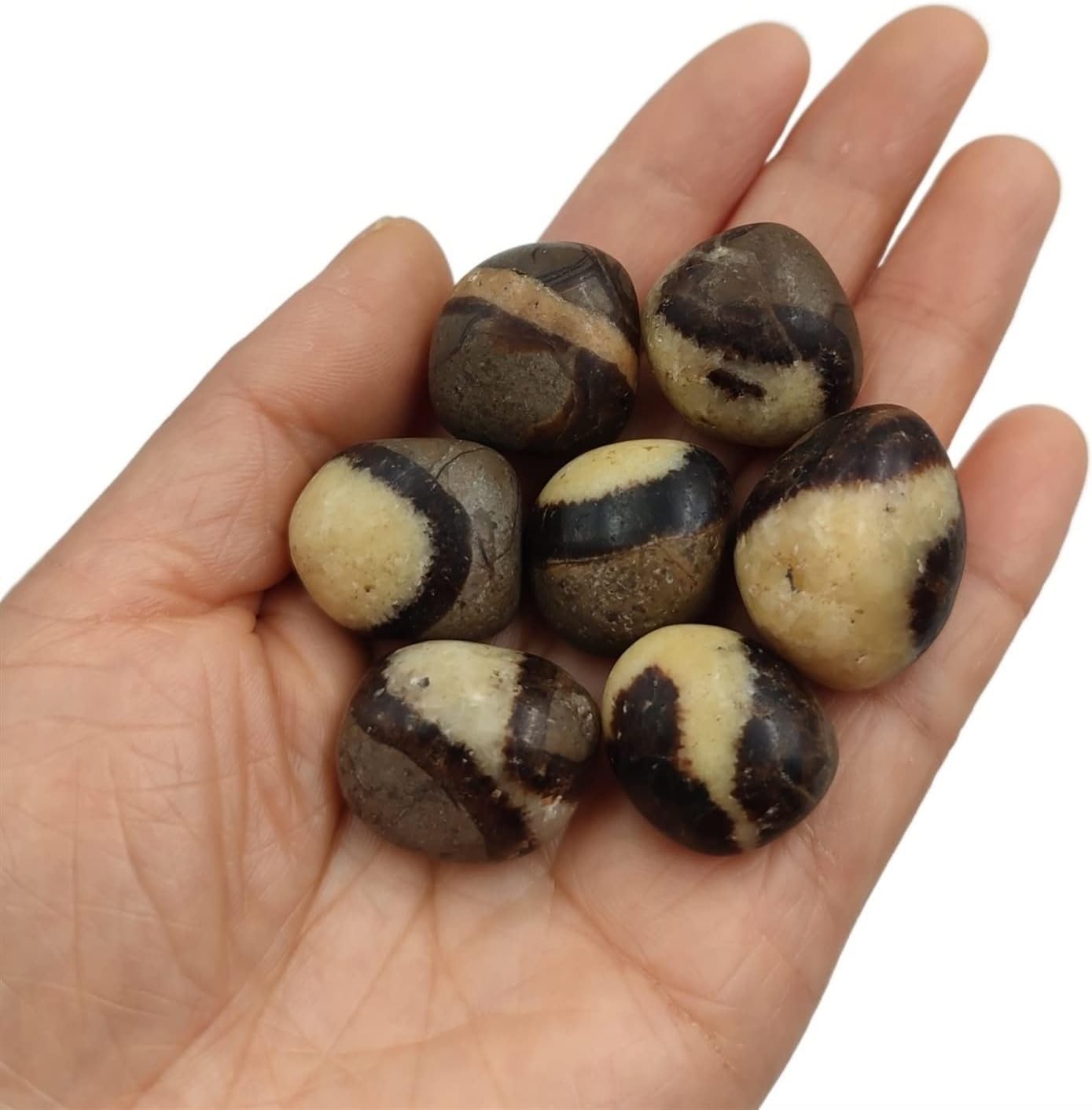 AMHIL Natural Dragon Septarian Tumbled Stones Crystal Polished Gemstone Specimen Home Decoration Gift