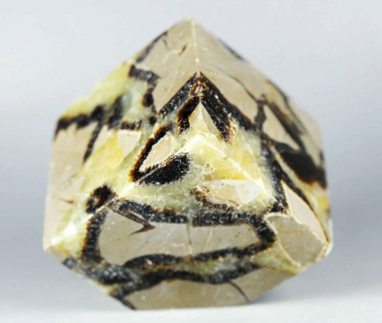 Polished Dragon Septarian Cube Reiki Stone Display 1