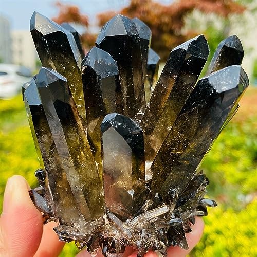 KatLin Clear Tea Crystal Healing Ornaments Set