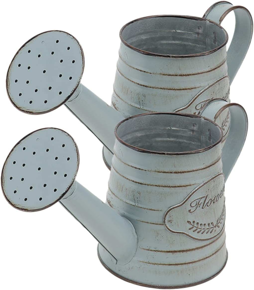 2pcs Vintage Rustic Iron Flower Vases for Dried Decorative Arrangements