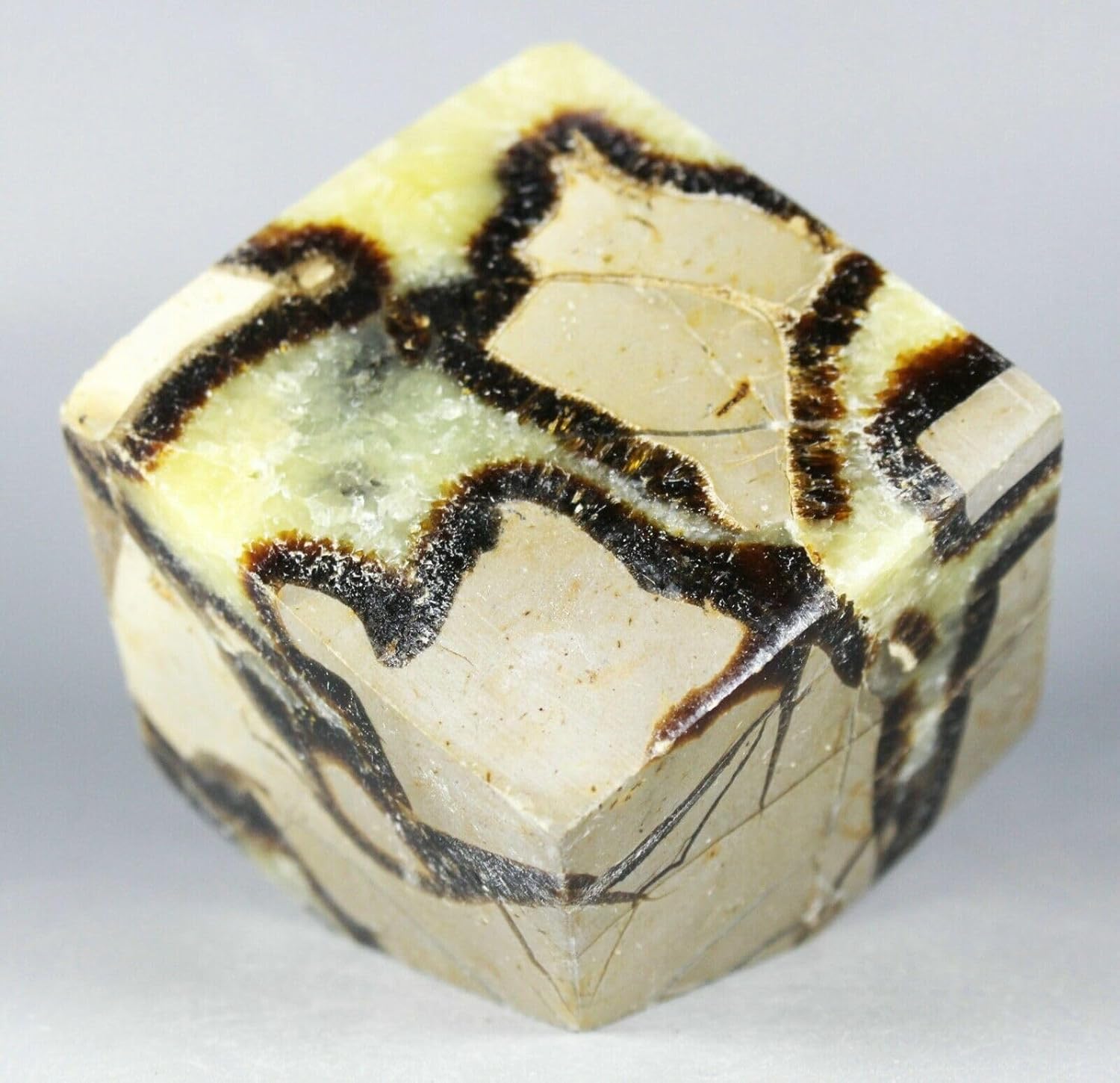 Polished Dragon Septarian Cube Reiki Stone Display
