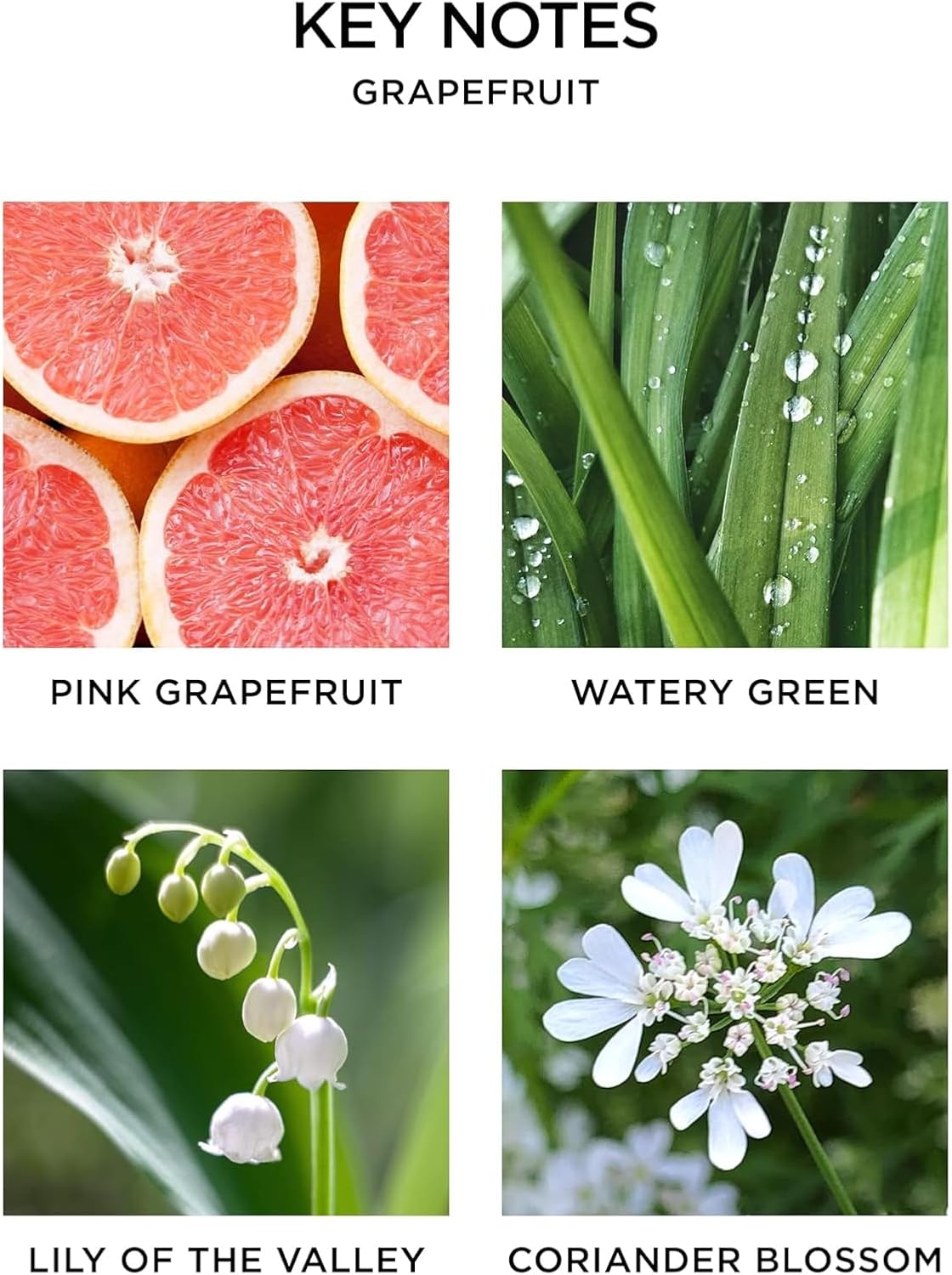 NEST New York Smart Fragrance Diffuser Refill - Grapefruit Set of 2