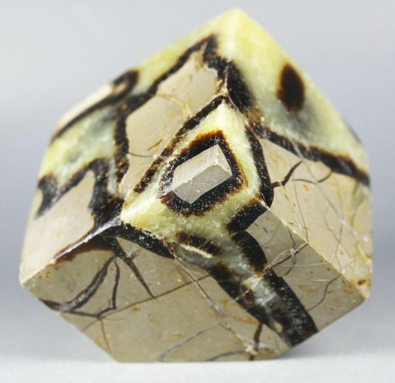 Polished Dragon Septarian Cube Reiki Stone Display