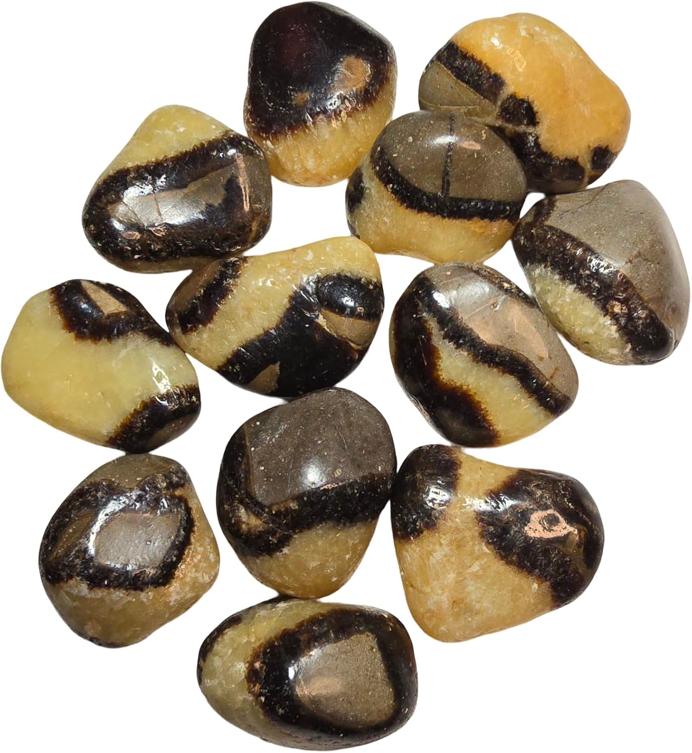 2pc Septarian Dragonstone Tumbled Healing Crystals from Madagascar UV Reactive