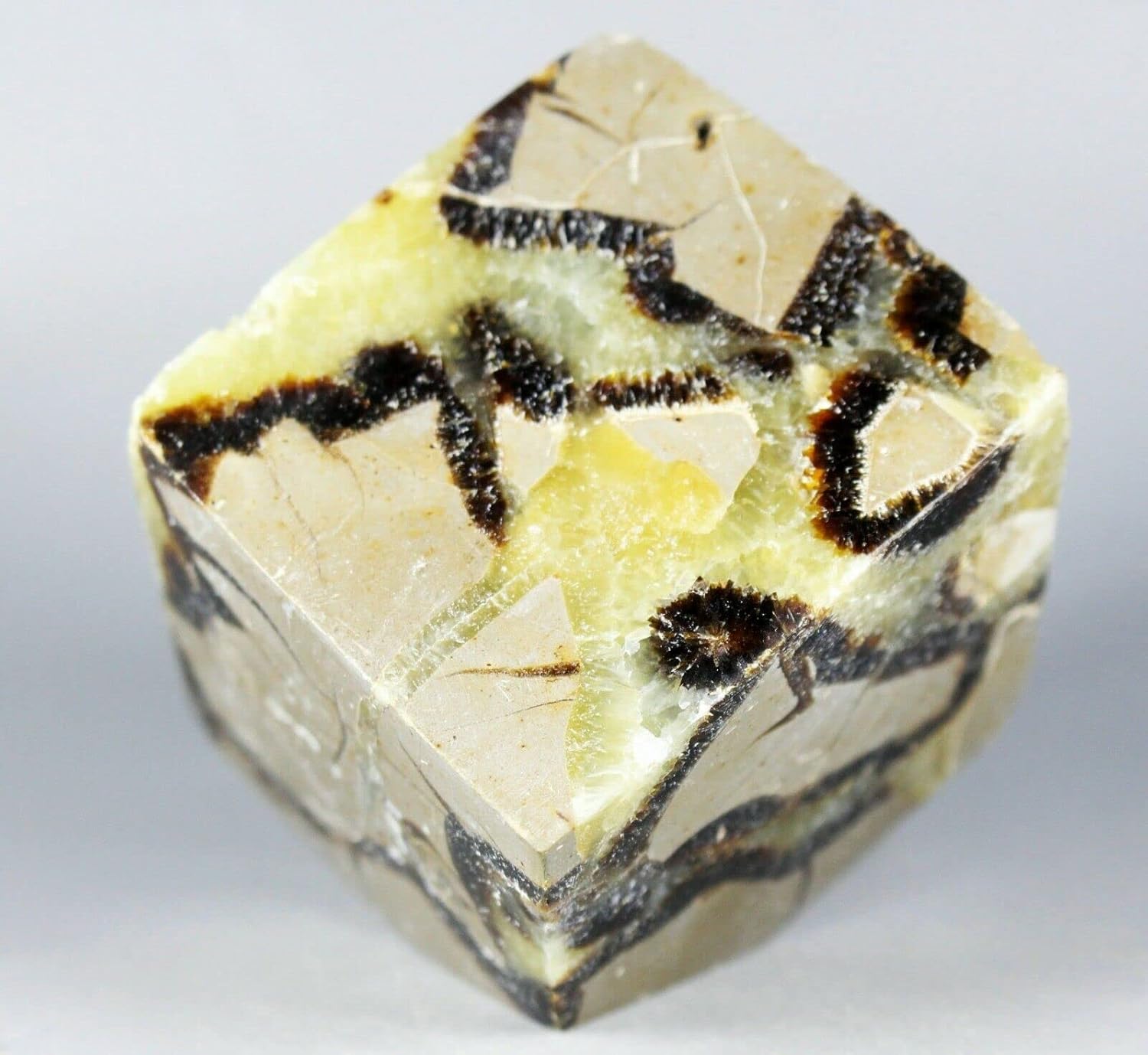Polished Dragon Septarian Cube Reiki Stone Display 1