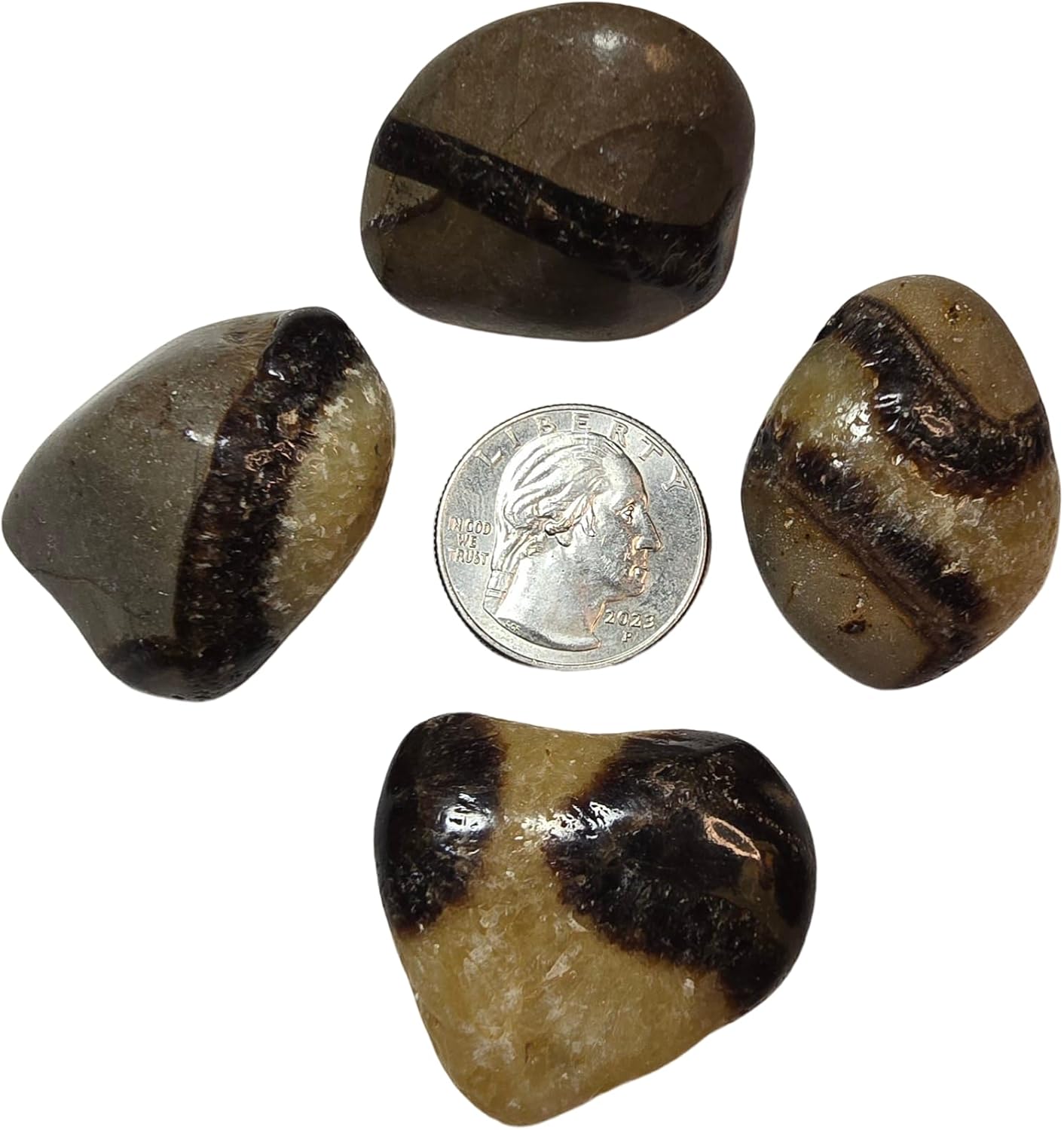 2pc Septarian Dragonstone Tumbled Healing Crystals from Madagascar UV Reactive