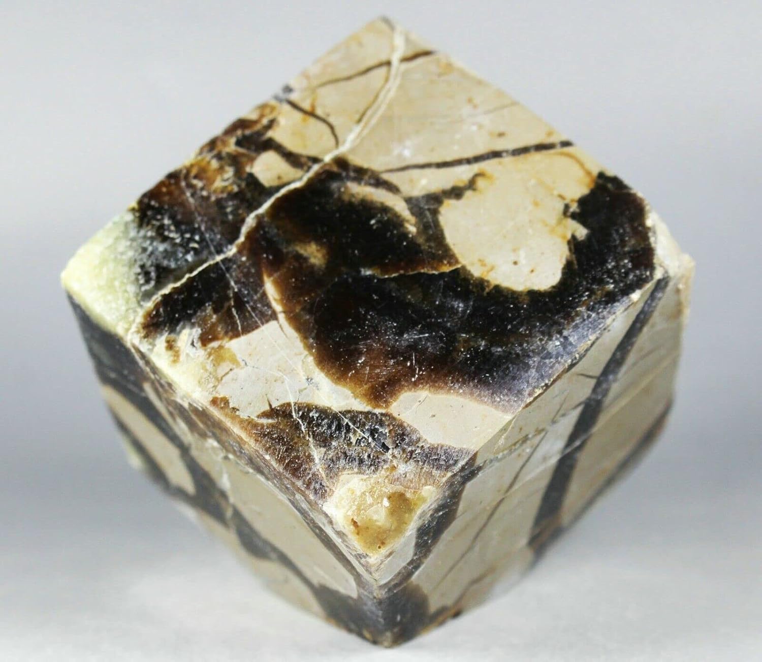 Polished Dragon Septarian Cube Reiki Stone Display 380G L5392