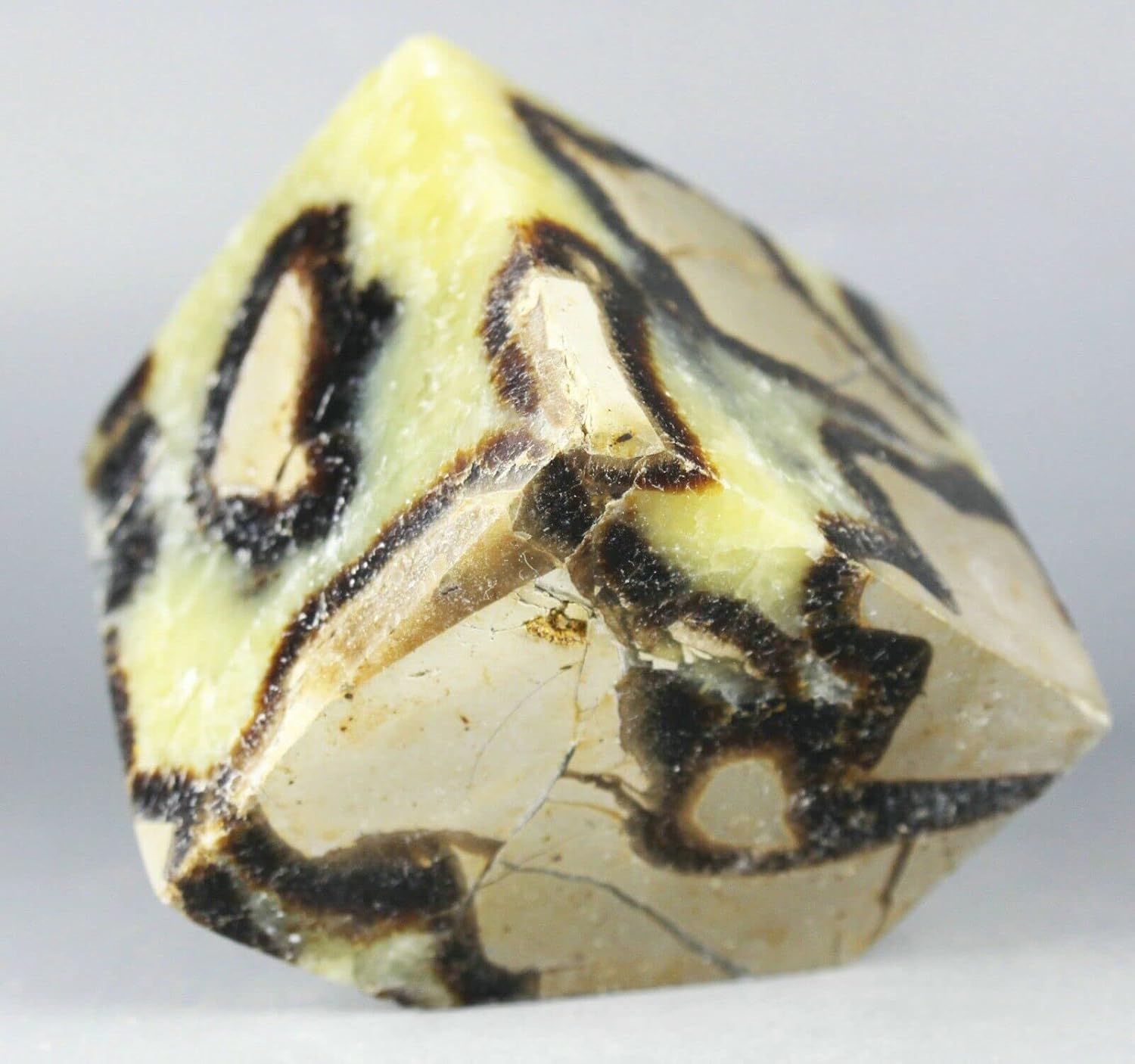 Polished Dragon Septarian Cube Reiki Stone Display
