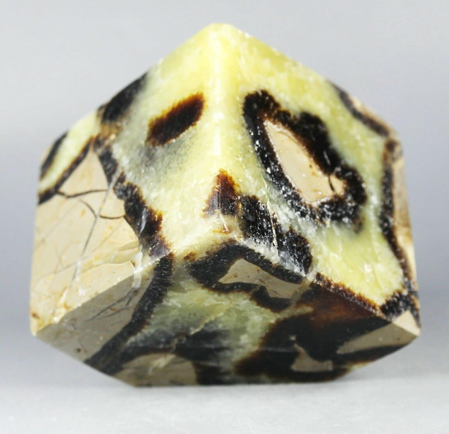 Polished Dragon Septarian Cube Reiki Stone Display