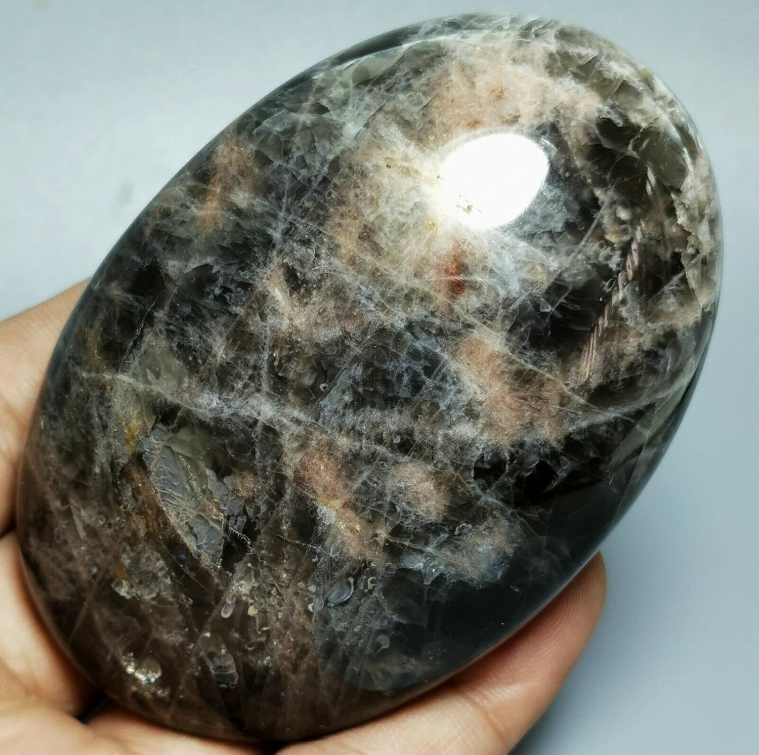 Orbicular Black Moonstones Reiki Stone Druzy Slab