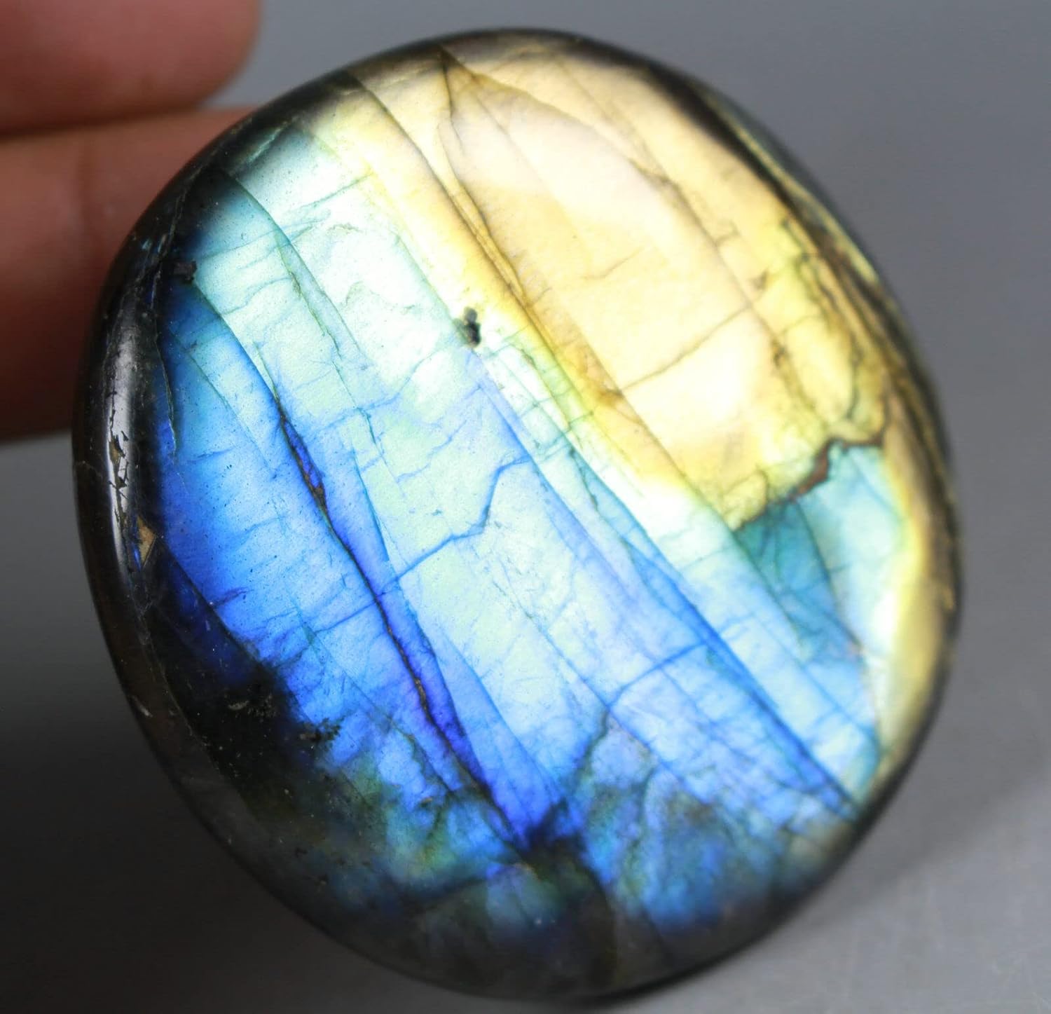 72G Royal Blue Yellow Flash Labradorite Spectrolite Form Stones
