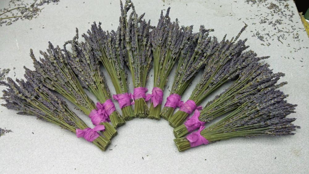 L Findlavender - Natural Dried Lavender Bundles 10 Pack