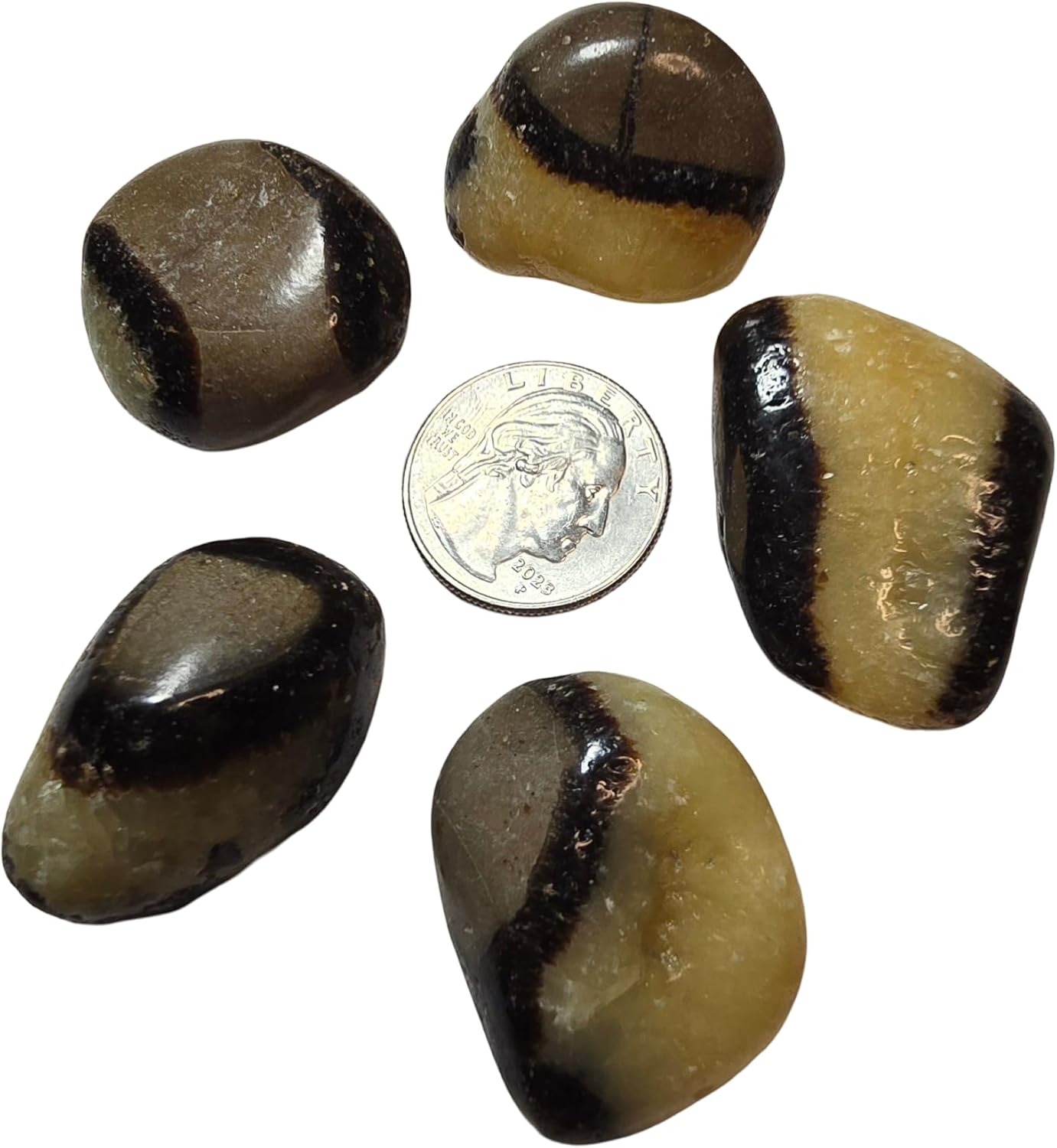 2pc Septarian Dragonstone Tumbled Healing Crystals from Madagascar UV Reactive