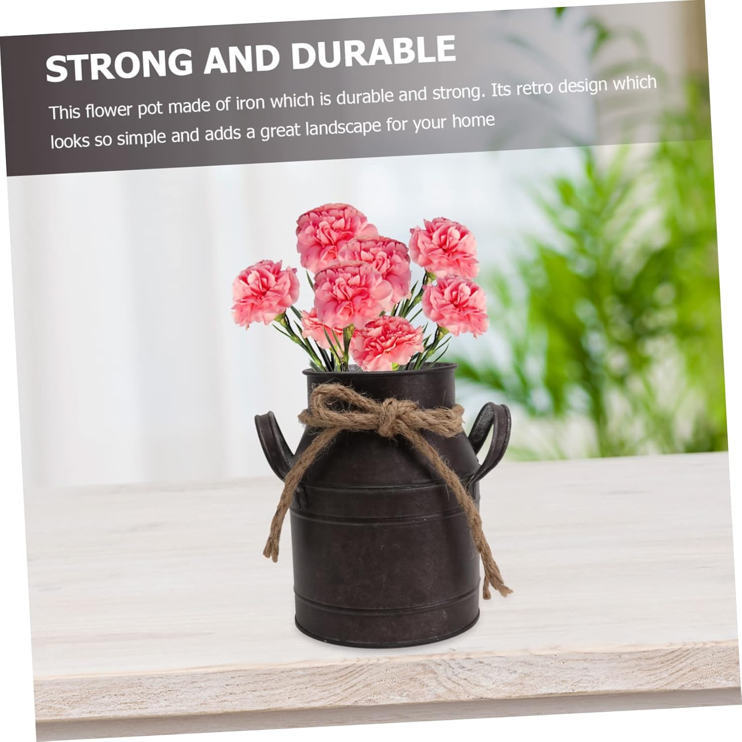 2pcs Vintage Iron Flower Bucket for Succulents Retro Decor with Small Handle for Home and Garden