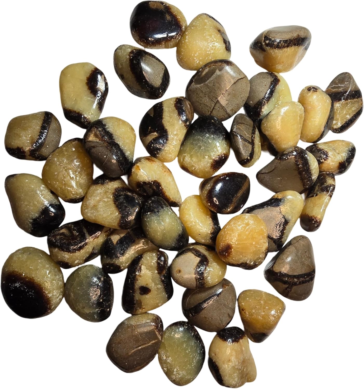 2pc Septarian Dragonstone Tumbled Healing Crystals from Madagascar UV Reactive
