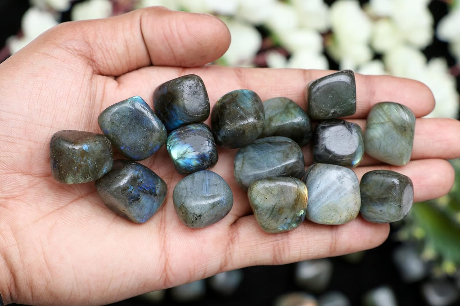 ZAICUS Tumbled Stones Crystal Bulk Set for Healing