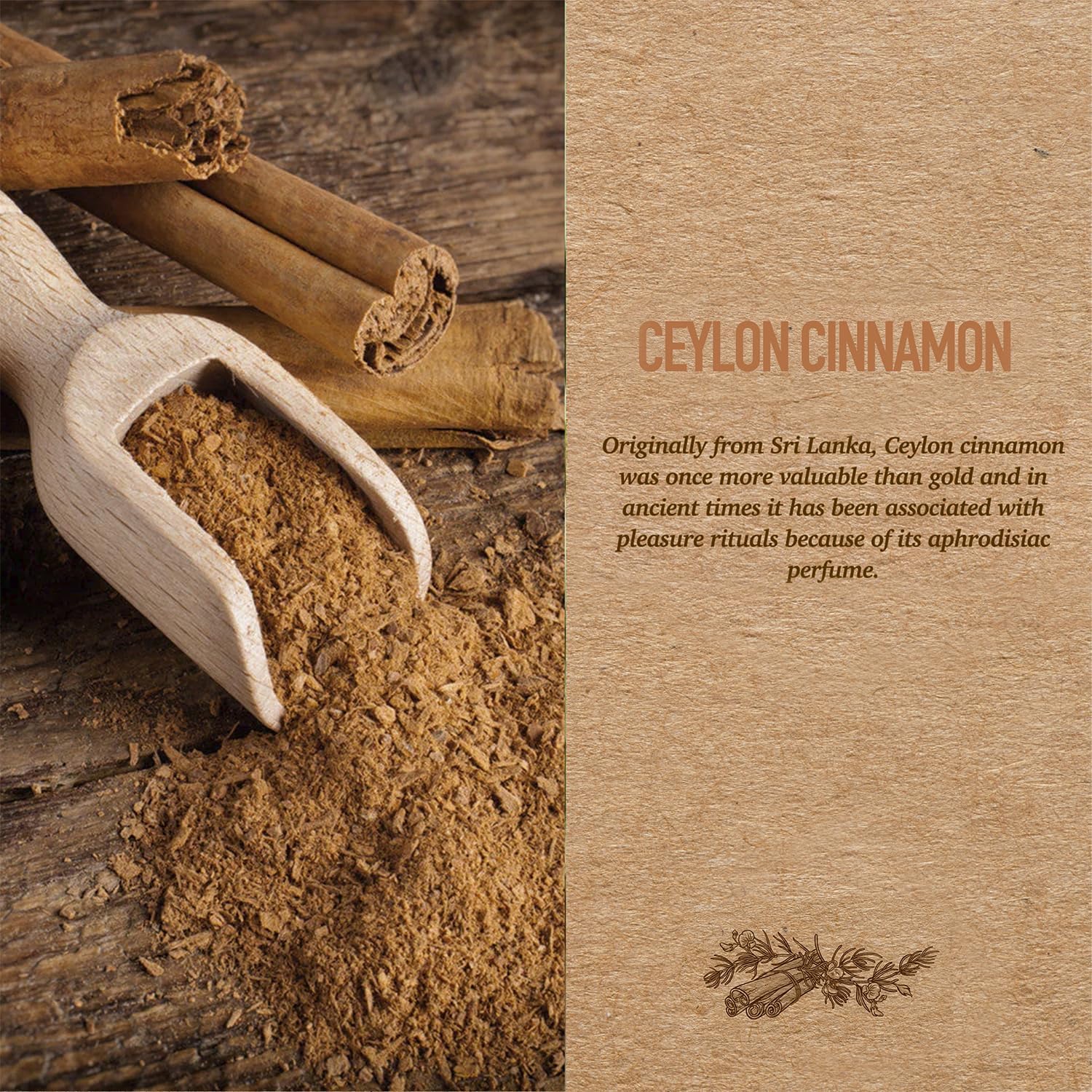 Ceylon Cinnamon Reed Diffuser Set