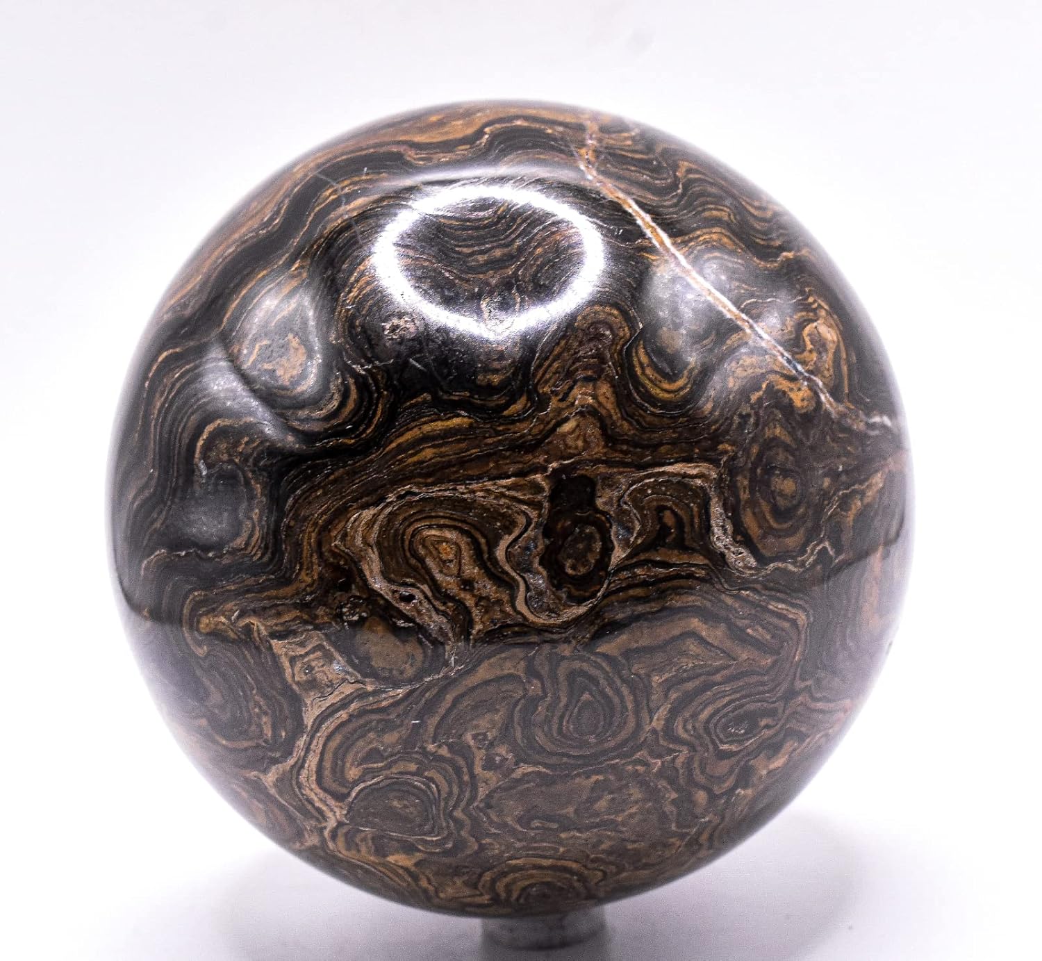 99mm Waved Black Brown Stromatolite Fossil Sphere with Stand