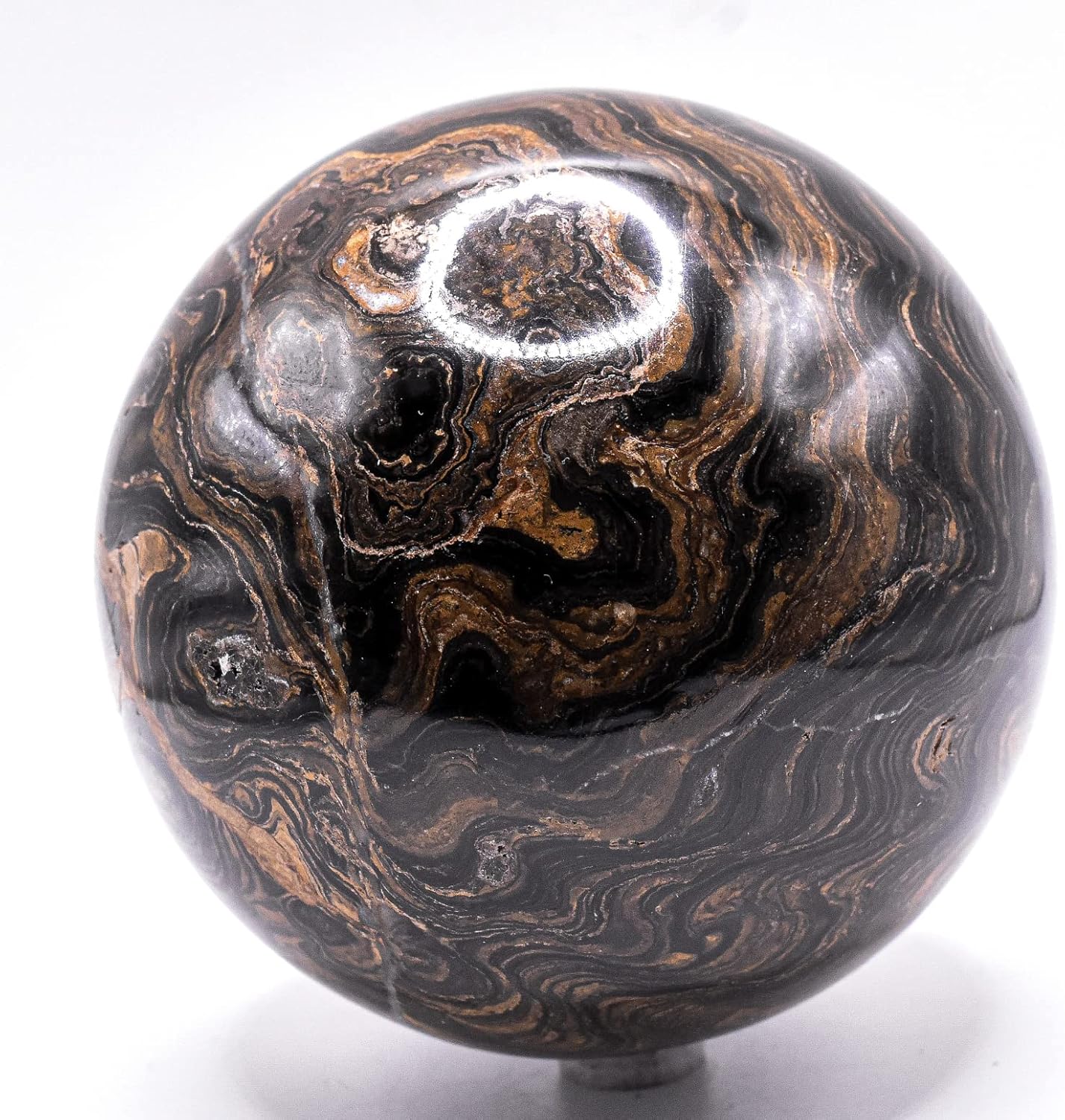 99mm Waved Black Brown Stromatolite Fossil Sphere with Stand