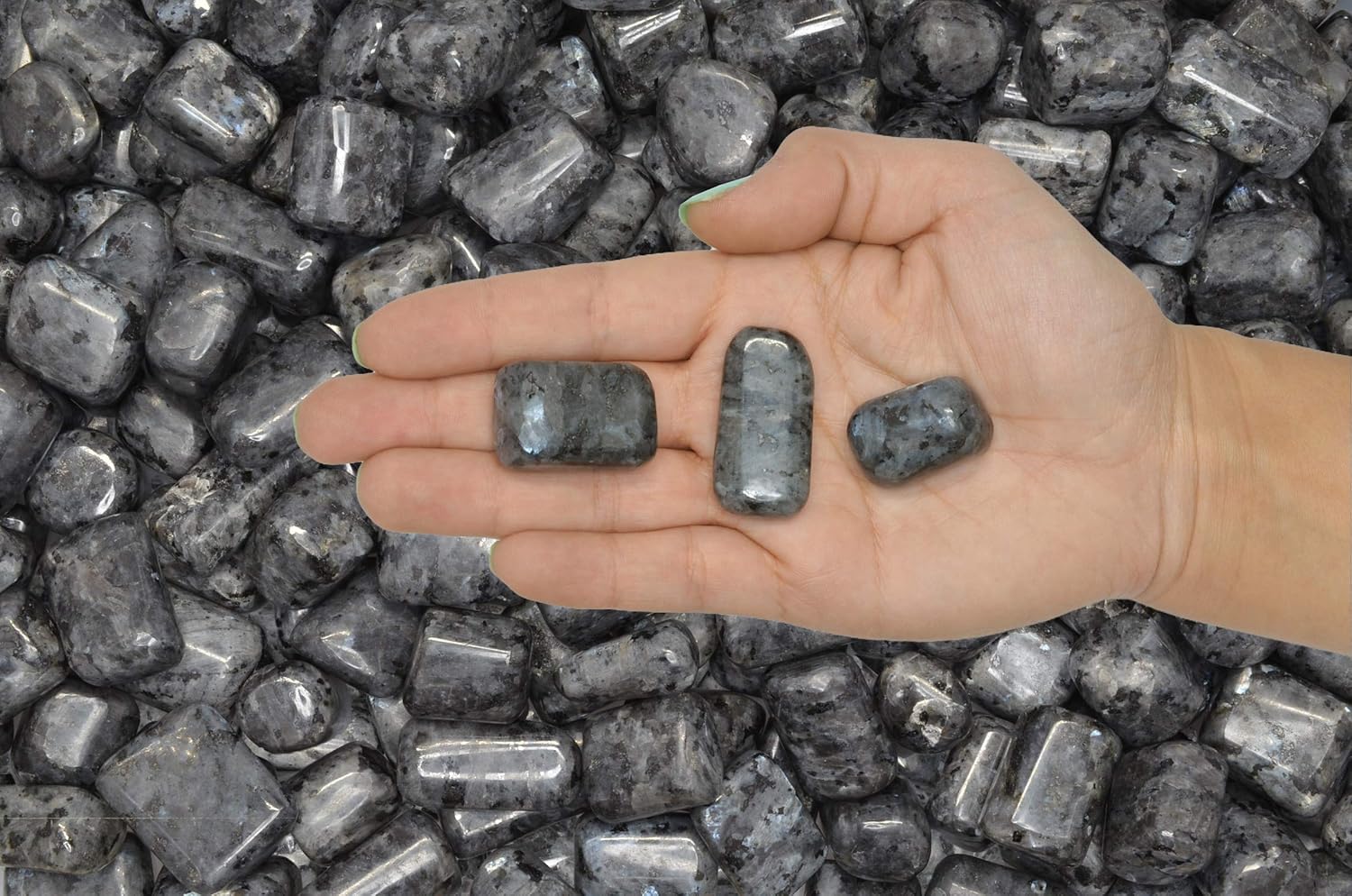 Fantasia Hand Polished Larvikite Stones 12 lb