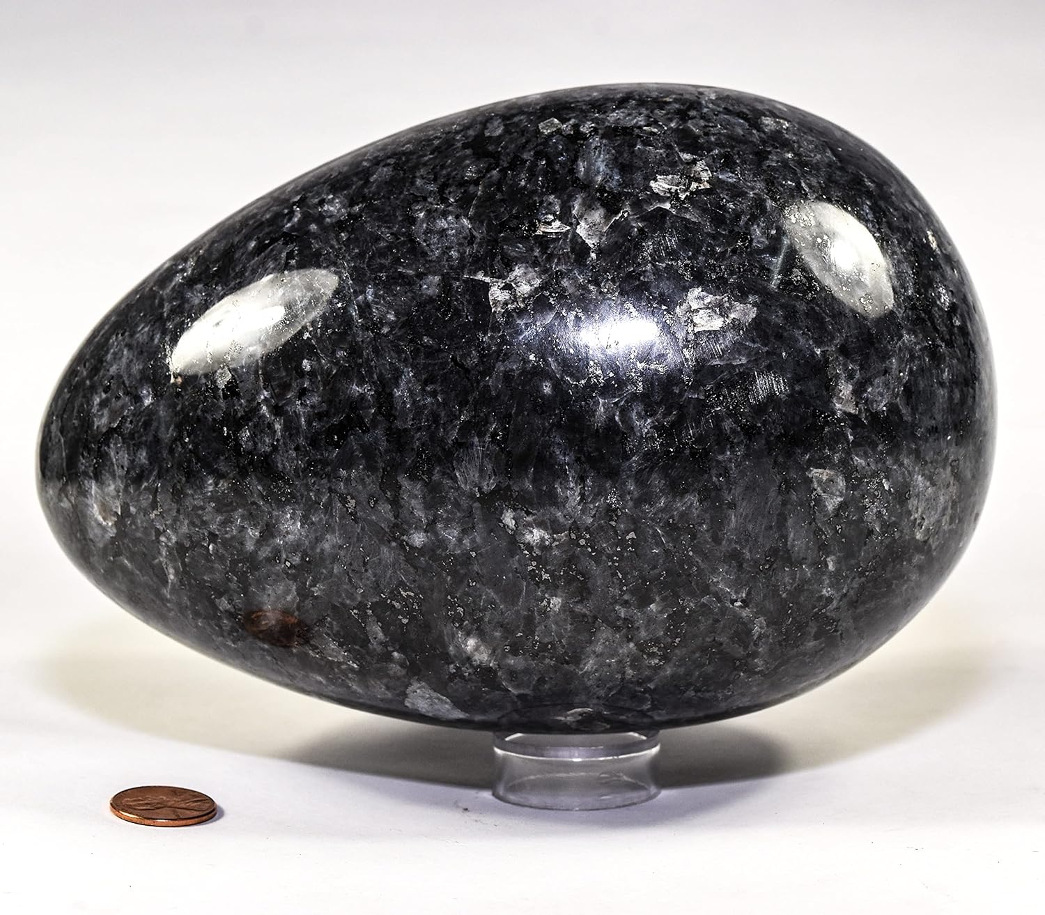 73 Inch Larvikite Egg with Wood Stand - Natural Feldspar Mineral