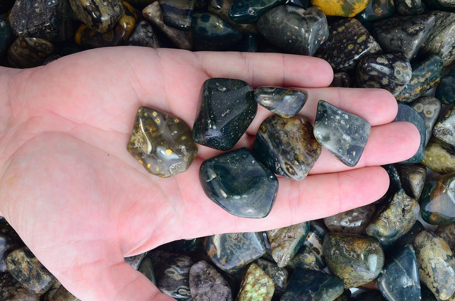 Fantasia Tumbled Sea Jasper Stones 12 lb Small 075-125 Inch