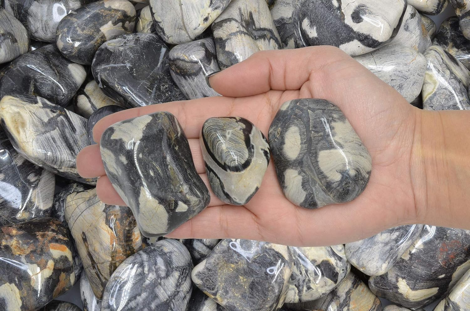 Fantasia Silver Leaf Jasper Stones 18 Lbs - 15 to 225 Inches