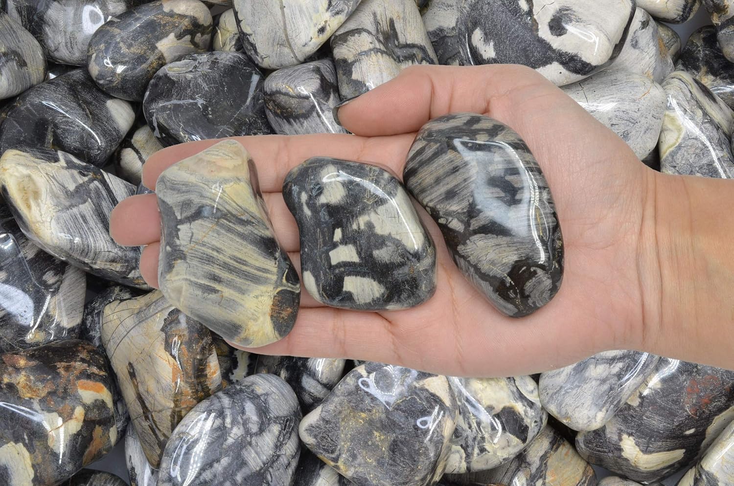Fantasia Silver Leaf Jasper Stones 18 Lbs - 15 to 225 Inches